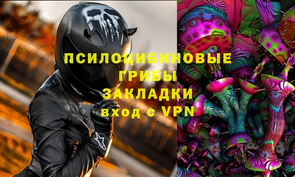 гашик Алексин