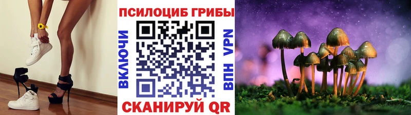 блэк спрут ТОР  Белоусово  Галлюциногенные грибы Magic Shrooms 